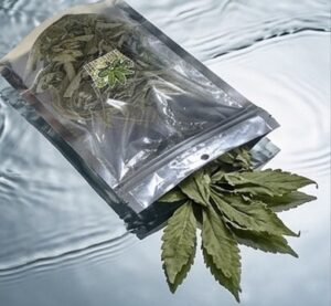 ใบกัญชาอบแห้ง | dried cannabis leaves