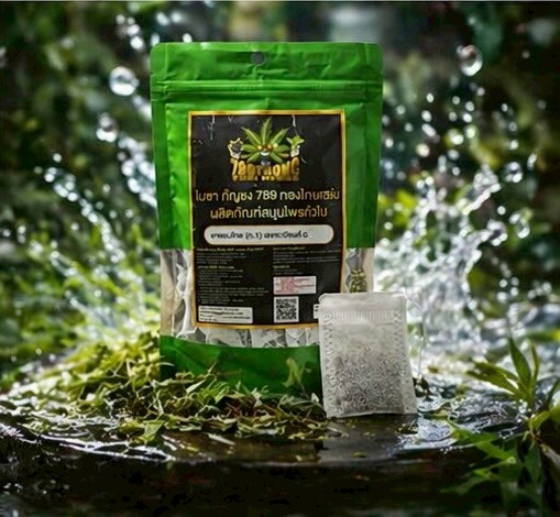 ชากัญชง (hemp tea) ชากัญชง (hemp tea)